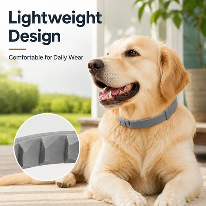 Adjustable Lightweight Dog Collar for Large Breeds Over 18 lbs, Ideal for Daily Wear and Outdoor Activities with Fresh Scent