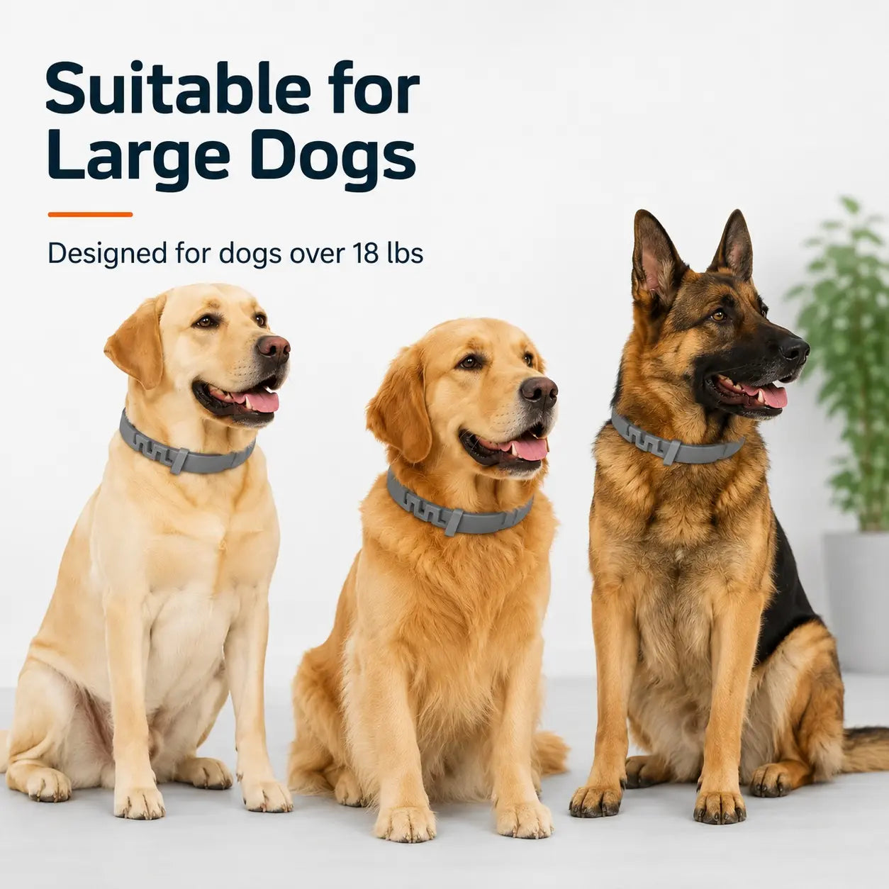 Adjustable Lightweight Dog Collar for Large Breeds Over 18 lbs, Ideal for Daily Wear and Outdoor Activities with Fresh Scent