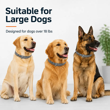 Adjustable Lightweight Dog Collar for Large Breeds Over 18 lbs, Ideal for Daily Wear and Outdoor Activities with Fresh Scent