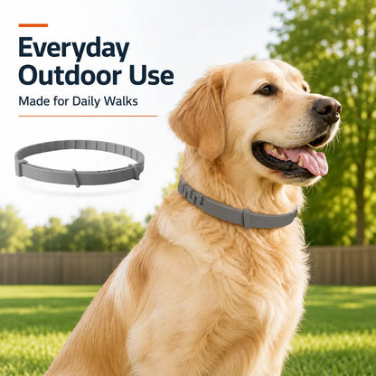 Adjustable Lightweight Dog Collar for Large Breeds Over 18 lbs, Ideal for Daily Wear and Outdoor Activities with Fresh Scent